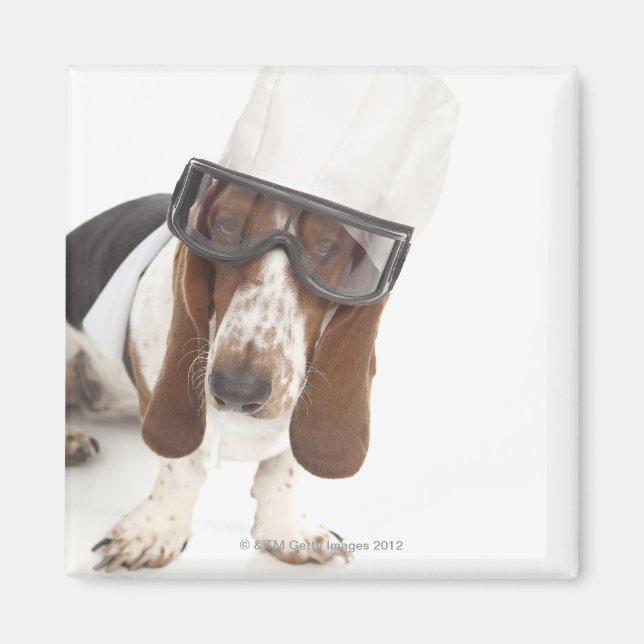 Imã Cecelia Erhart (Frente)