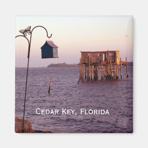 Imã Cedar Key Bird Feeder, Cedar Key, Florida