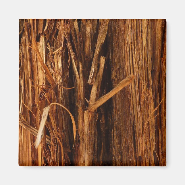 Imã Cedar Textura de Latido de Madeira (Frente)
