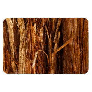 Ímã Cedar Textura de Latido de Madeira