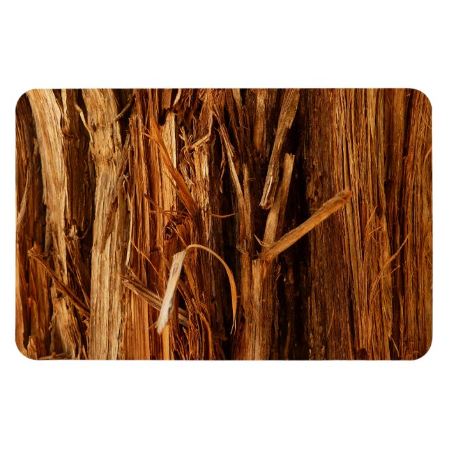 Ímã Cedar Textura de Latido de Madeira (Horizontal)