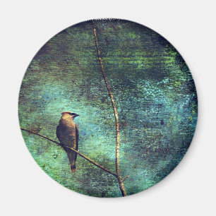 Imã Cedar Waxwing