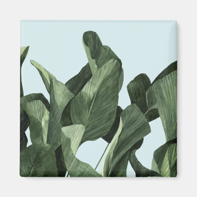 Imã Celadon Palms (Frente)