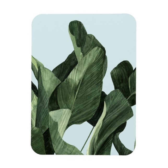 Ímã Celadon Palms (Vertical)