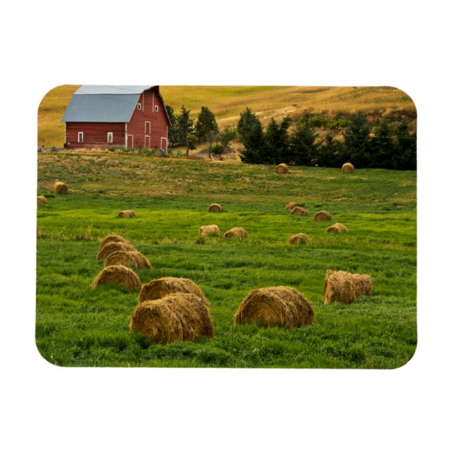 Ímã Celeiro Vermelho, fardos de feno, Albion, Área de  (Horizontal)