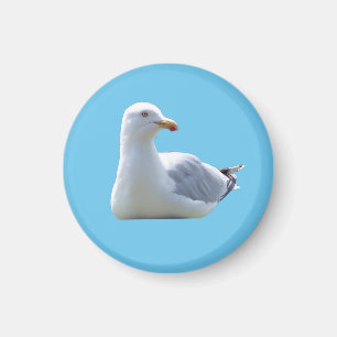 Imã Cena Costeira Azul Calma com uma Gaivota Fofa Desc