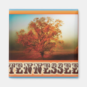 Imã Cena da árvore da queda de Tennessee