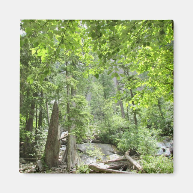 Imã Cena da Floresta Verde Mágica. (Frente)