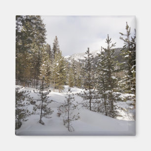 Imã Cena da Montanha Snowy de inverno em Montana