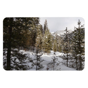 Ímã Cena da Montanha Snowy de inverno em Montana