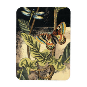 Ímã Cena da Natureza Escura pelo Vision Studio