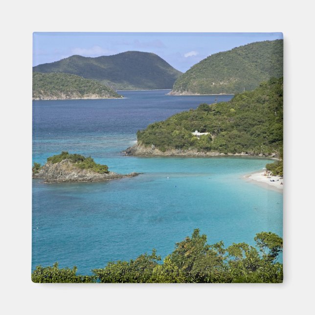 Imã Cena de Caneel Bay de uma estrada na Rua. (Frente)