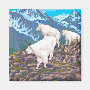 Imã Cena de Caprinos de Montanha - West Yellowstone, M