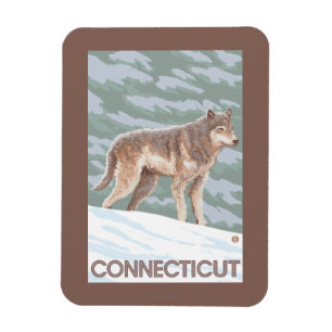 Ímã Cena de ConnecticutWolf