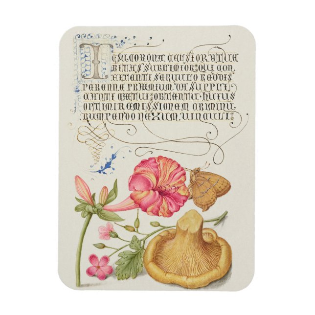 Ímã Cena de jardim com flores, borboleta e cogumelo (Vertical)