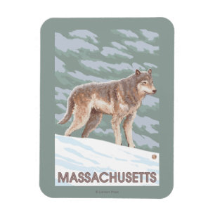 Ímã Cena de MassachusettsWolf