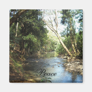Imã Cena de Paz na Natureza