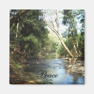 Imã Cena de Paz na Natureza