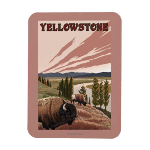 Ímã Cena de YellowstoneBison