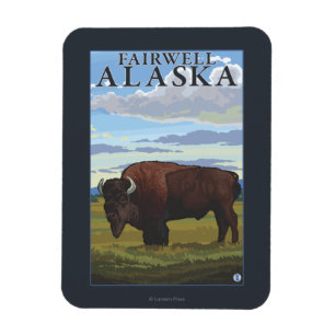 Ímã Cena do bisonte - Fairwell, Alaska
