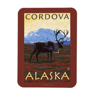 Ímã Cena do caribu - Cordova, Alaska