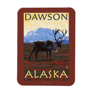Ímã Cena do caribu - Dawson, Alaska
