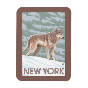 Ímã Cena nova de YorkWolf