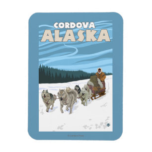 Ímã Cena Sledding do cão - Cordova, Alaska