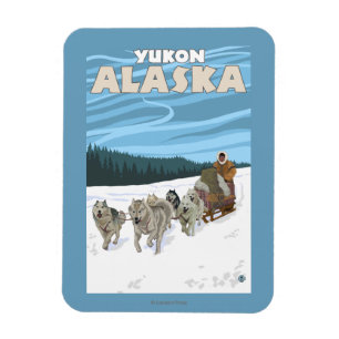 Ímã Cena Sledding do cão - Yukon, Alaska