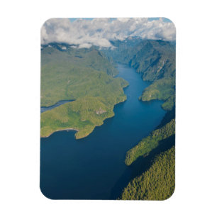 Ímã Cenário Costeiro Na Floresta Tropical Do Urso Exce