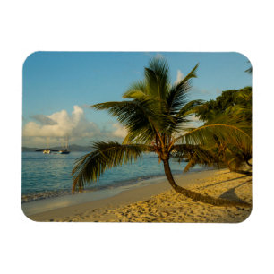 Ímã Cenário de praia