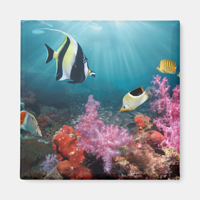 Imã Cenário de recifes de coral | Ídolo úmido (Frente)