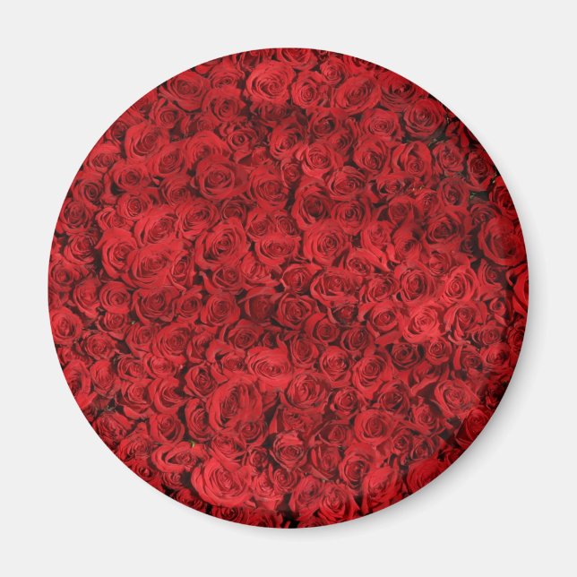 Imã Centenas de Rosas vermelhas bonitas (Frente)