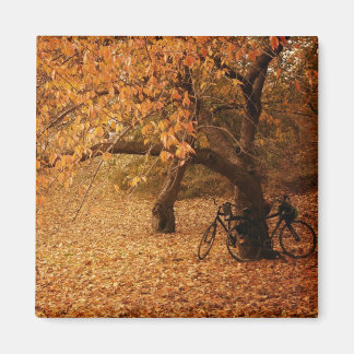 Imã Central Park Autumn - Nova Iorque