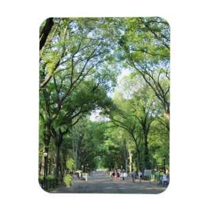 Ímã Central Park: Caminhada do Poeta no Verão