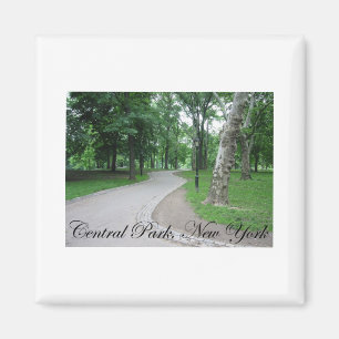 Imã Central Park, Nova Iorque