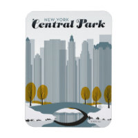 Central Park, NYC - Neve