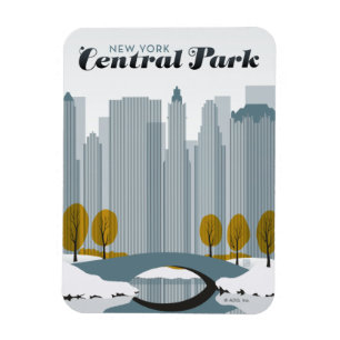 Ímã Central Park, NYC - Neve