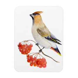 Ímã Cera de aves da floresta aquosa