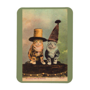 Ímã cerca de 1900 gatos nos chapéus RPPC