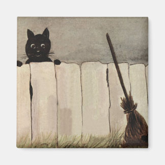 Imã Cerca de Gato Preto Vassoura de Bruxa
