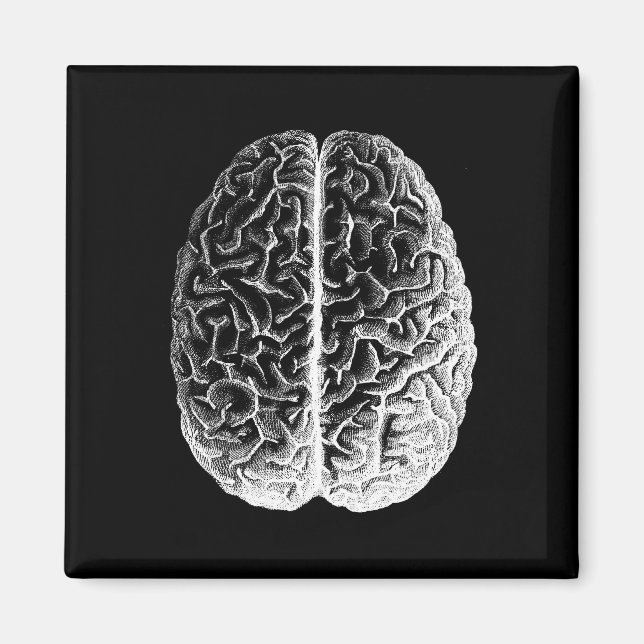 Imã Cérebros! (Frente)