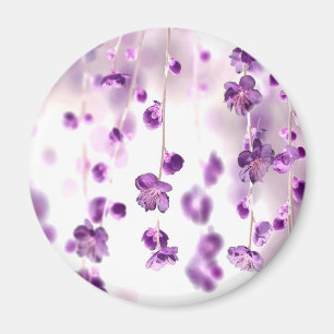 Imã Cereja floresce