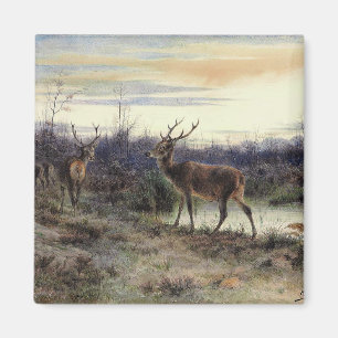 Imã Cerveja na Floresta de Fontainebleau (Rosa Bonheur