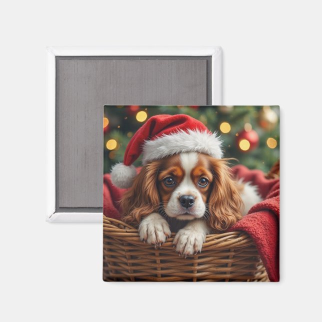 Imã Cesta Aconchegante do Cavalier King Charles Spanie (Front/Back)