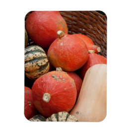 Ímã Cesta de abóboras