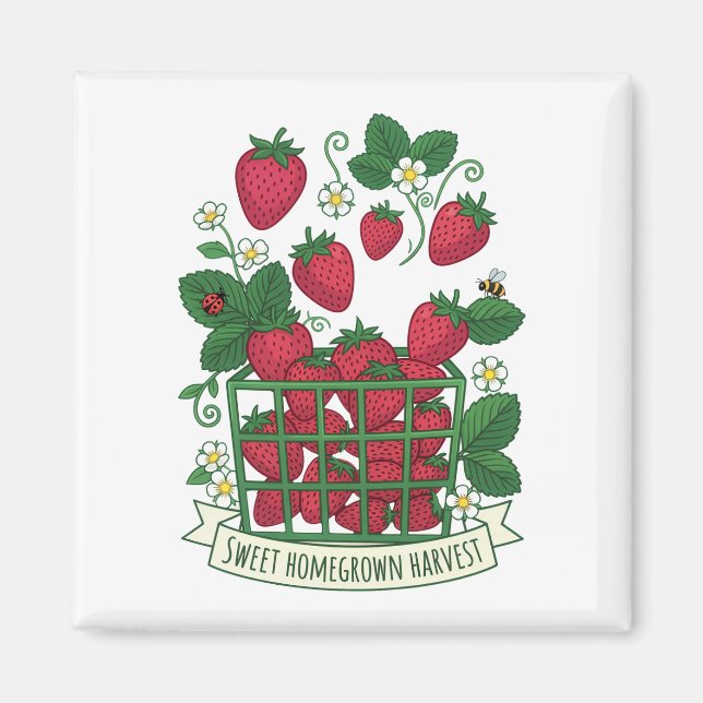 Imã Cesta de Morango Fruta Doce Berry Comida  (Frente)