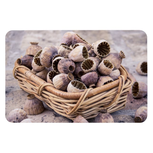 Ímã Cesto de Sementes de Pop-papoila Secas (Horizontal)