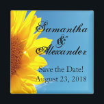 Imã Céu azul de Verão com girassol amarelo<br><div class="desc">Linda imagem cênica de girassol amarelo brilhante contra o céu azul com nuvens brancas. Perfeito para um tema de casamento de verão. Convite de casamento e conjunto acessório correspondente. © 2010 www.CustomInvitesOnline.com Este item está disponível como uma coleção completa de casamento, incluindo convites, cartões RSVP, Salvar Datas, Magnets, Autocolantes, Cartões...</div>