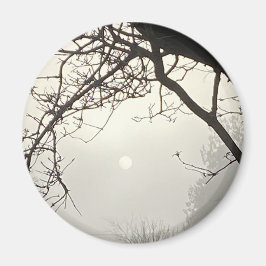 Imã Céu Branco E Sol Dramaticamente Enquadrados Por Ár